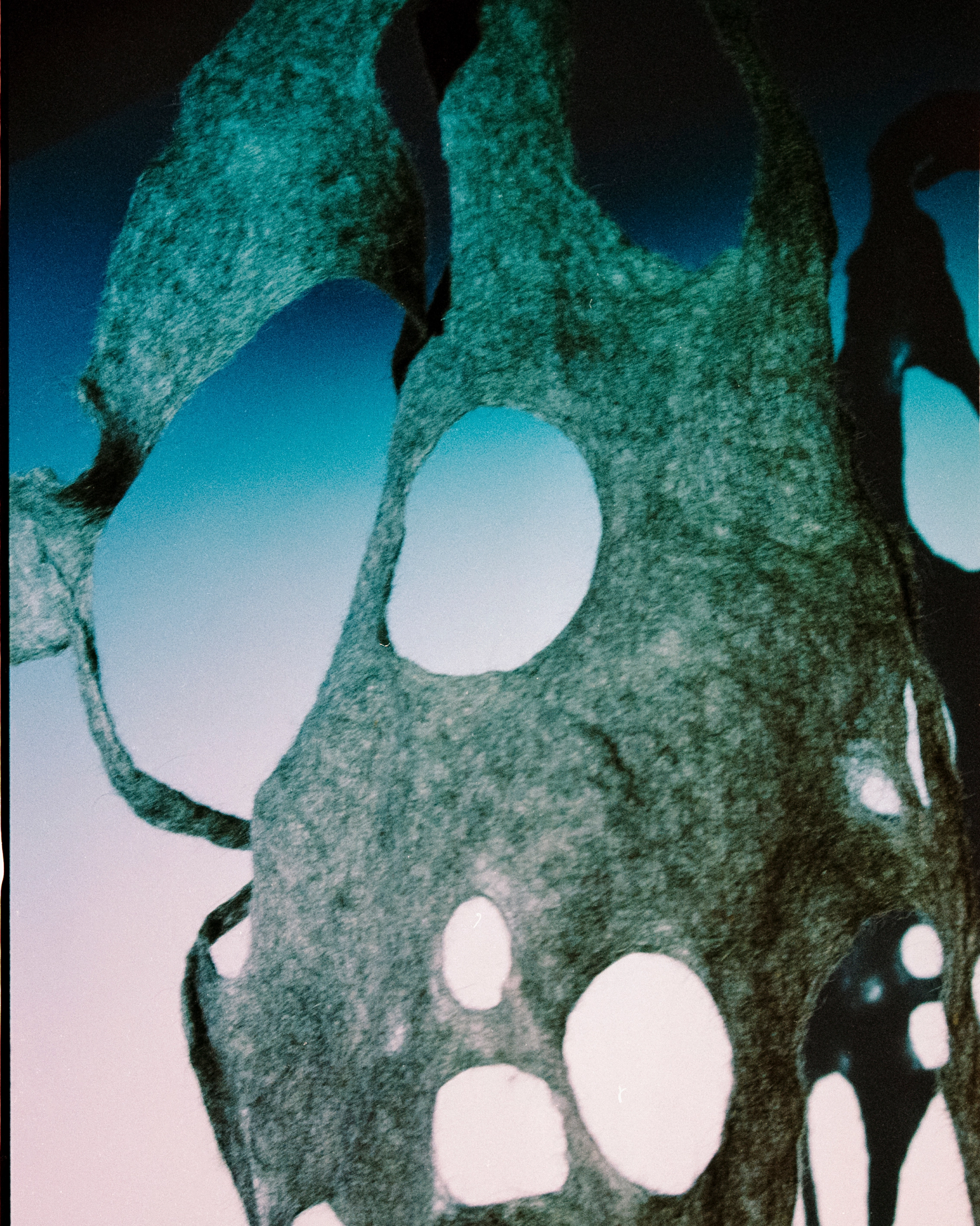 Close-up of the teal-lit felted-wool sculpture, with organic holes in the felted material.