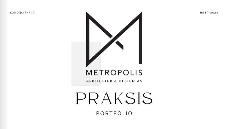 Metropolis Internship Portfolio
